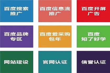 某科技公司的信息流广告投放策略与效果评估